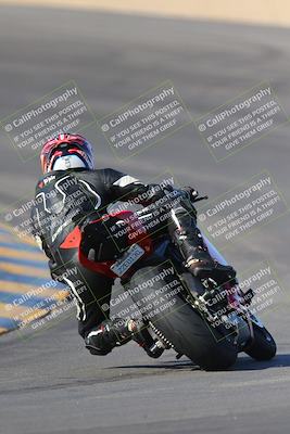 media/Nov-12-2023-SoCal Trackdays (Sun) [[5d1fba4e7d]]/Turn 10 Backside (115pm)/